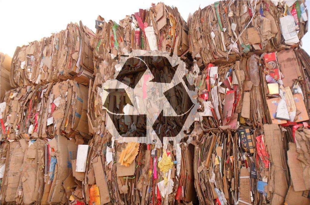 国内外废纸回收有望再提速